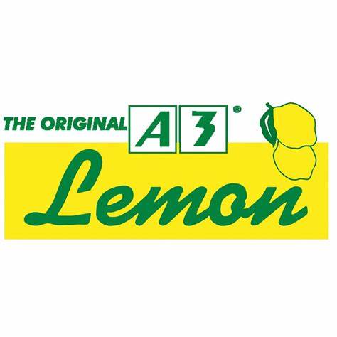 A3