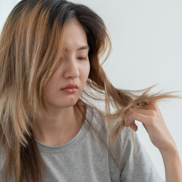 Beschadig Haar